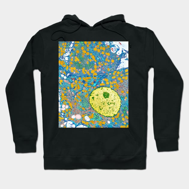 Liver cells, TEM (P530/0191) Hoodie by SciencePhoto